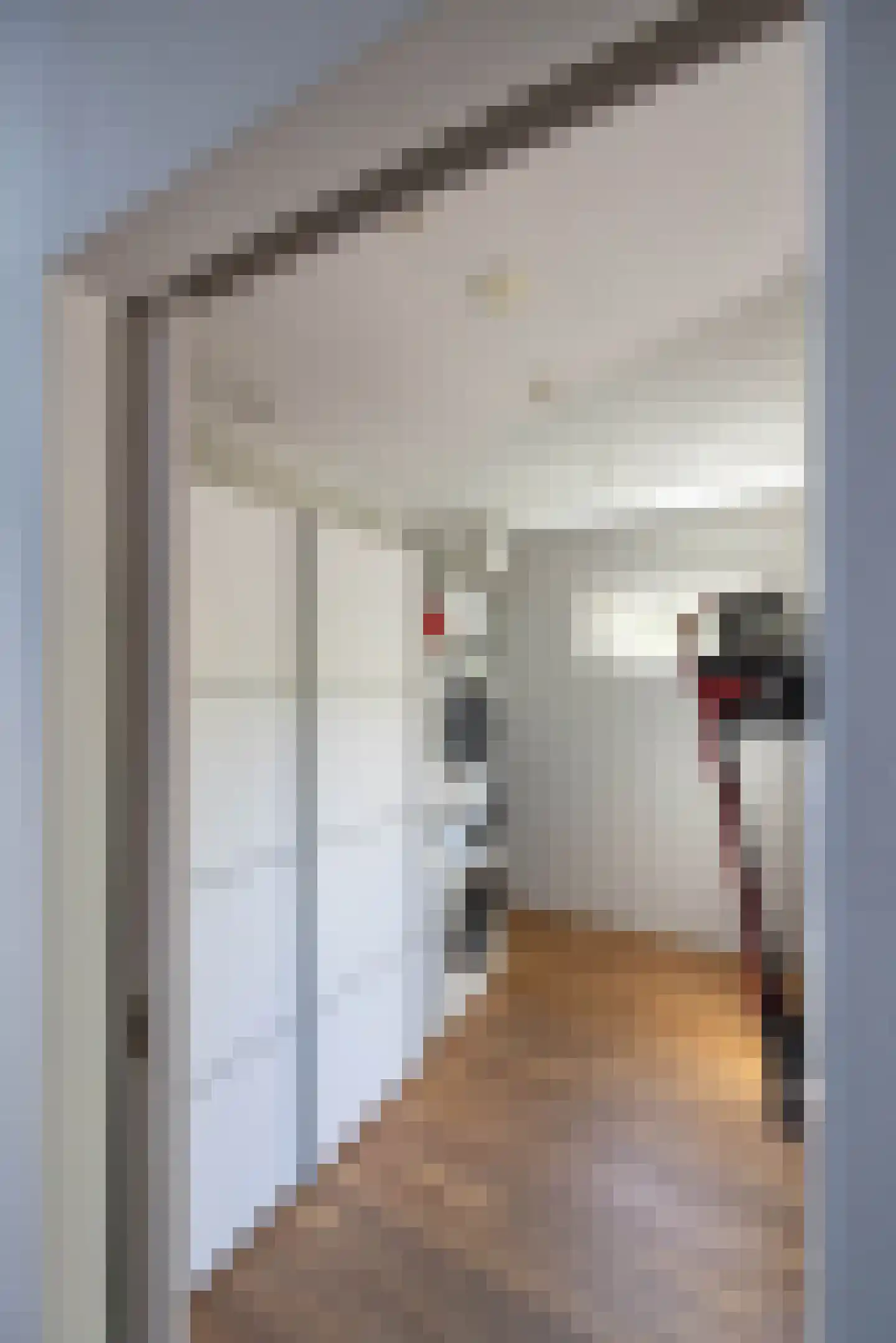 Spinnerstraat 2 Borne thumbnail 11