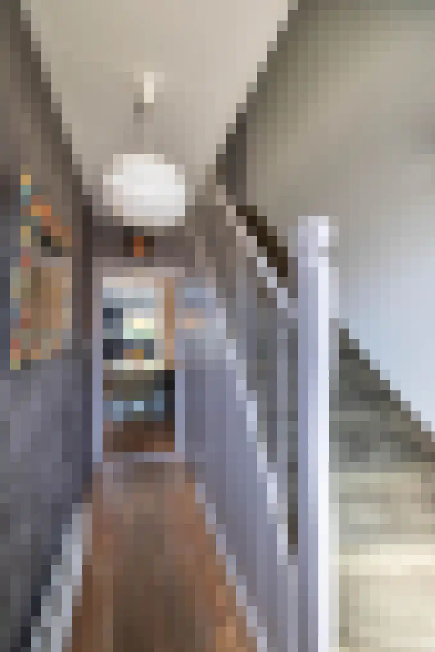 Spinnerstraat 2 Borne thumbnail 15