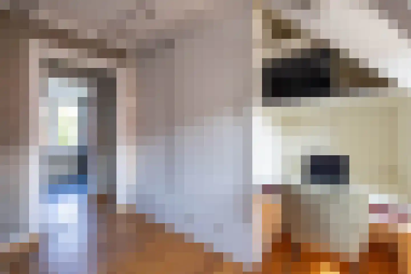 Spinnerstraat 2 Borne thumbnail 18
