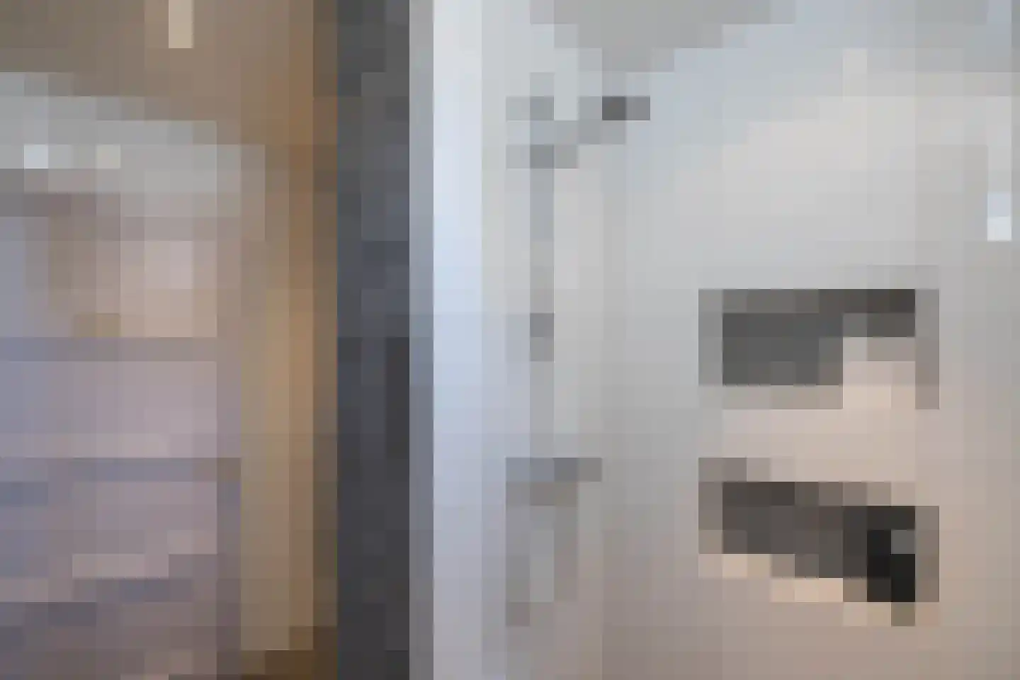 Spinnerstraat 2 Borne thumbnail 21