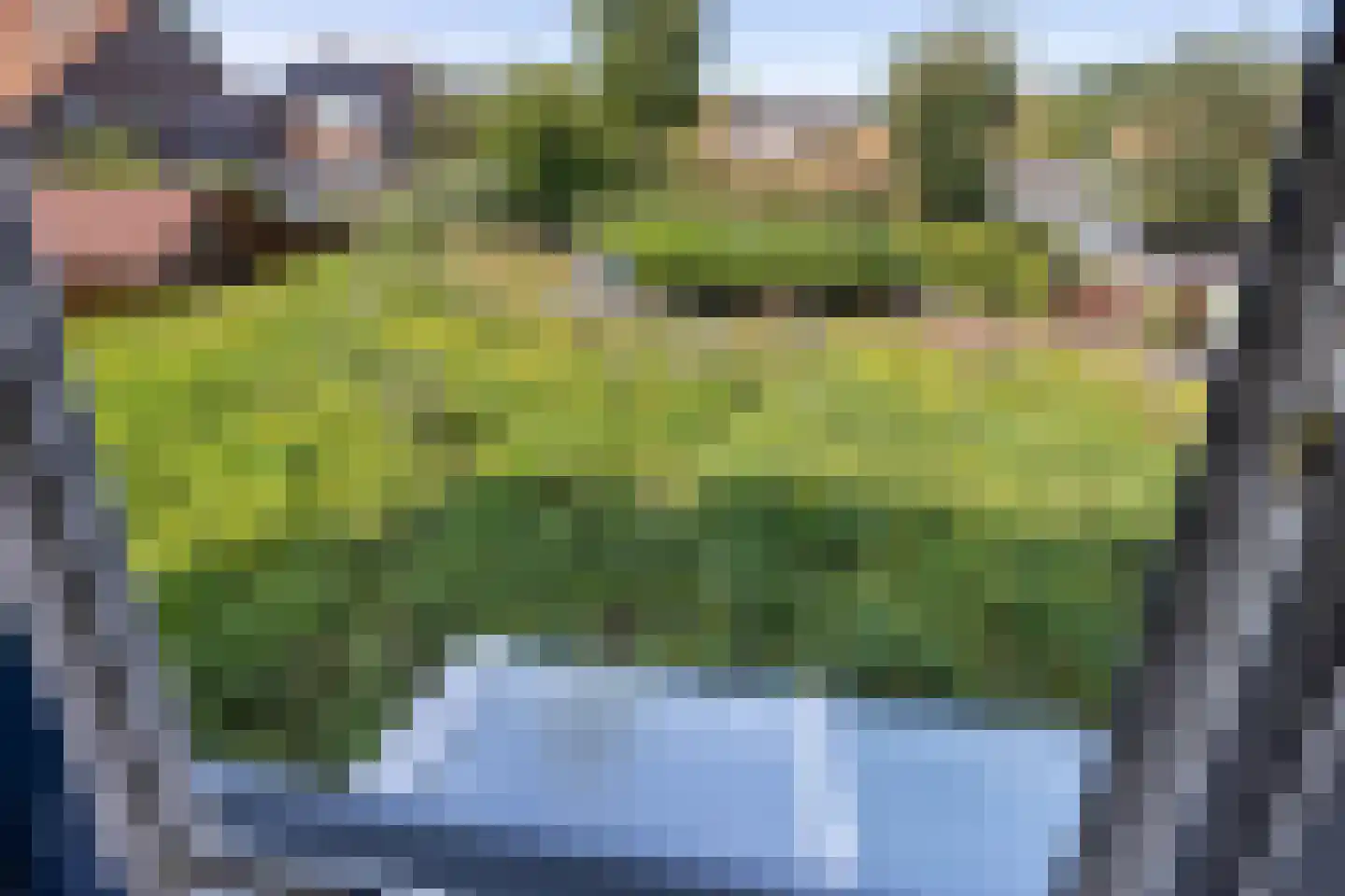Spinnerstraat 2 Borne thumbnail 25