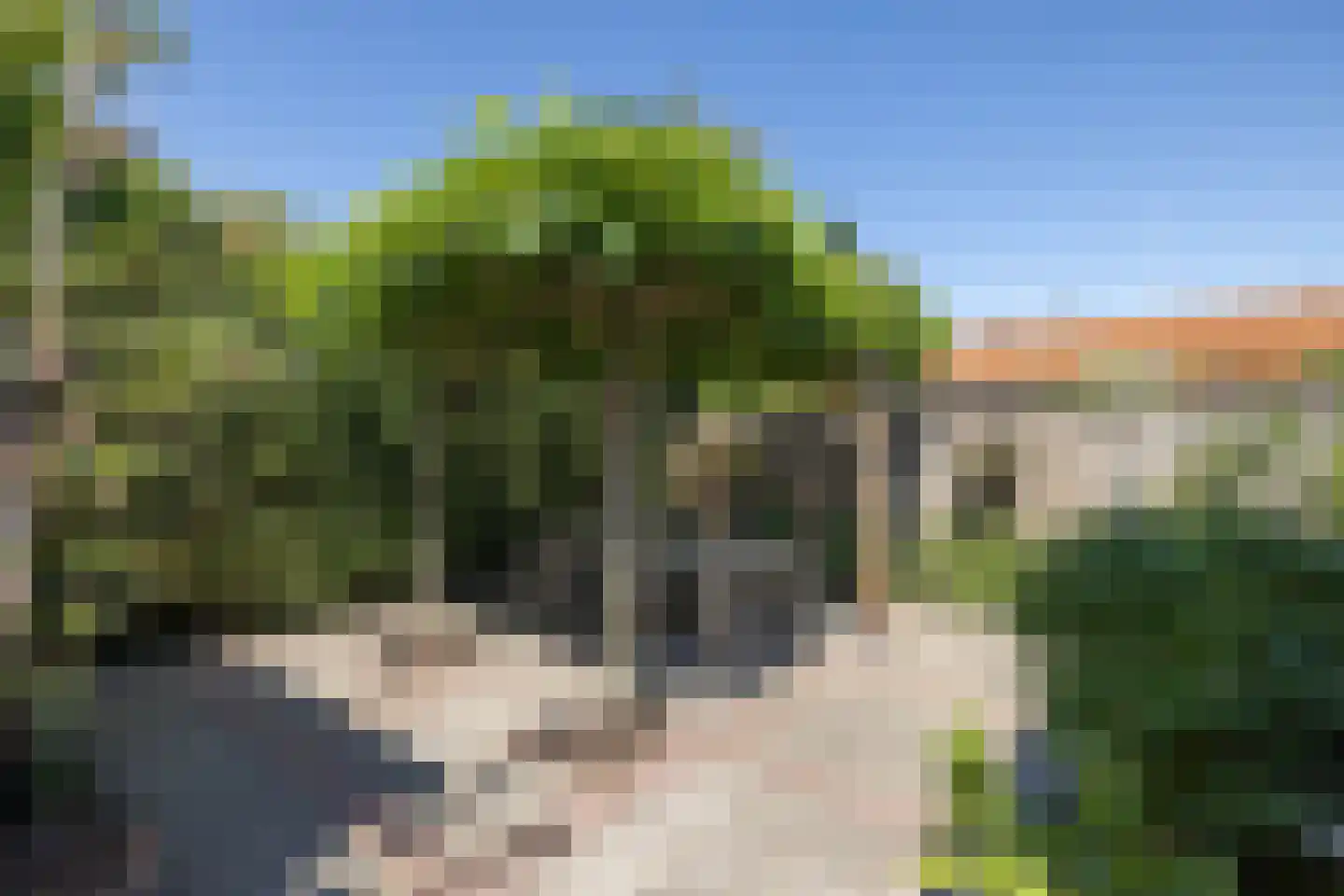 Spinnerstraat 2 Borne thumbnail 30