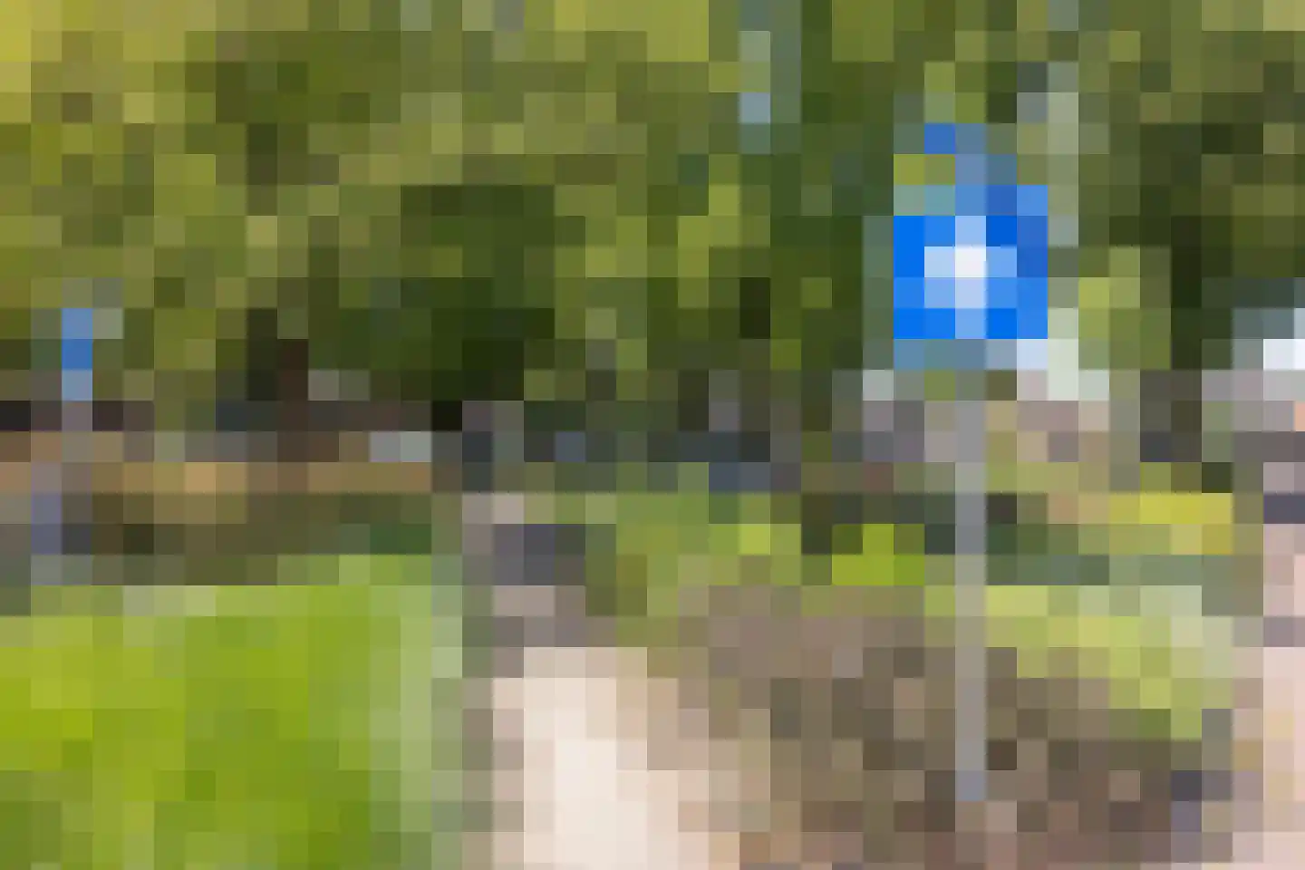 Spinnerstraat 2 Borne thumbnail 34