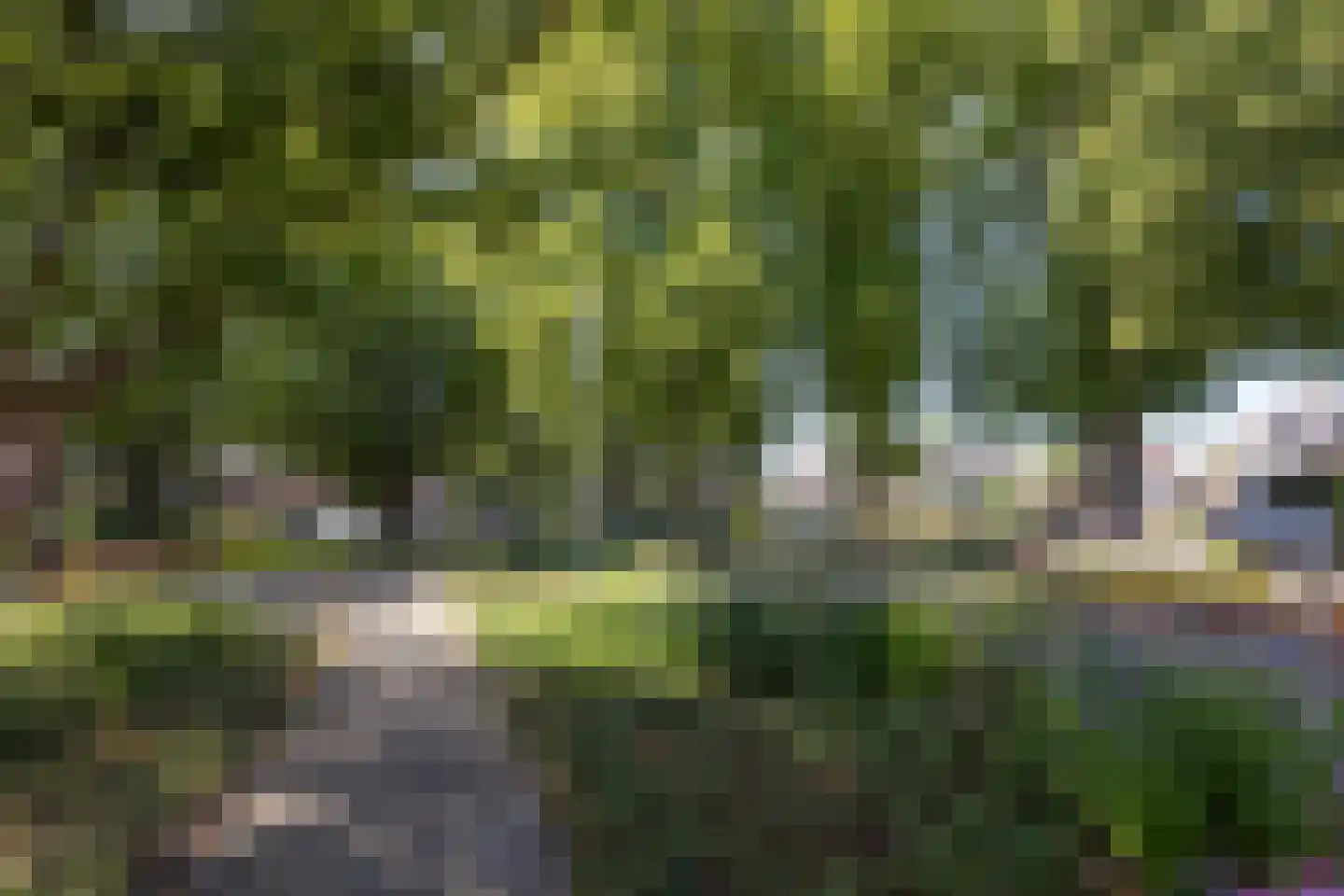Spinnerstraat 2 Borne thumbnail 35