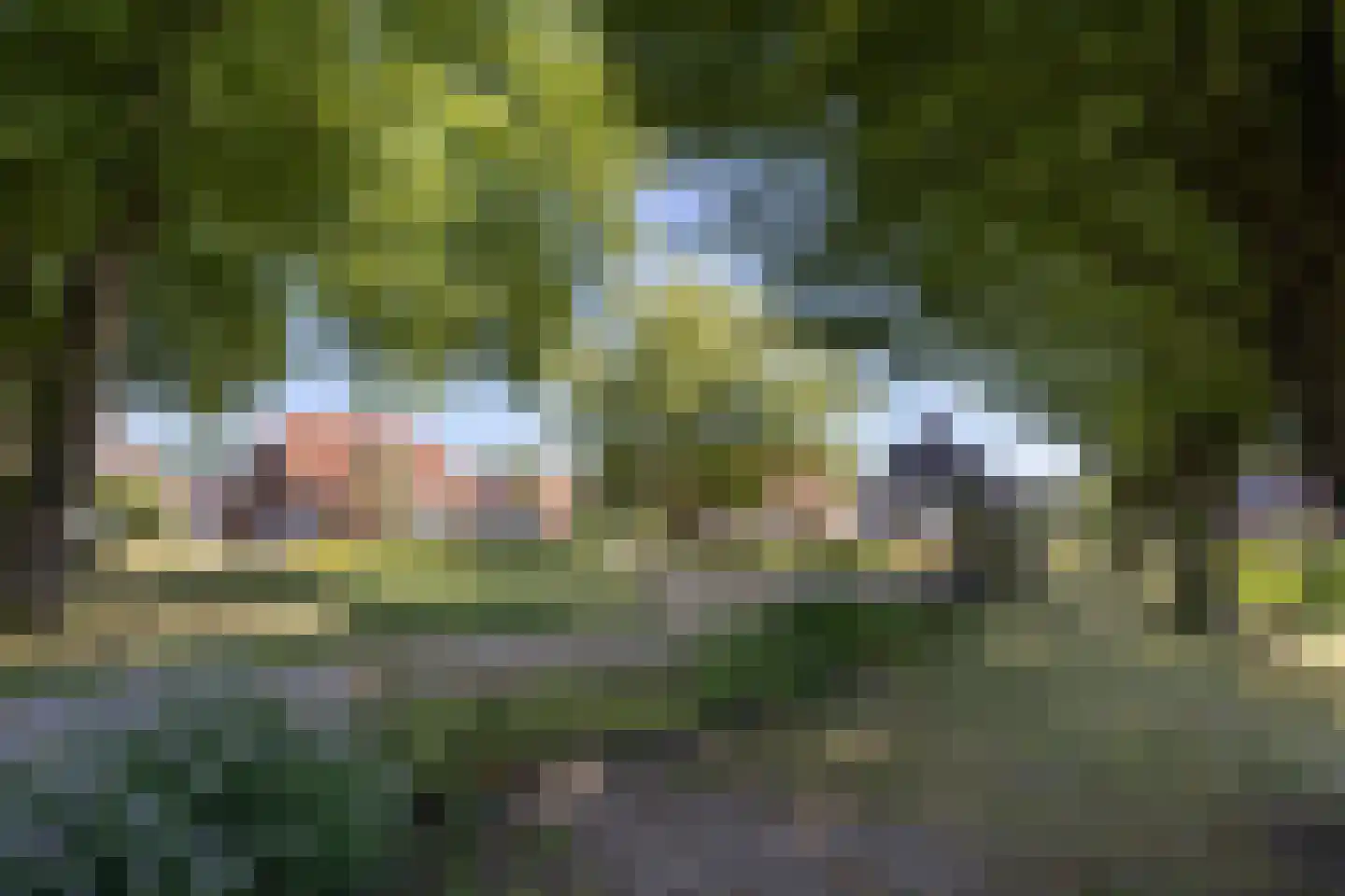 Spinnerstraat 2 Borne thumbnail 36