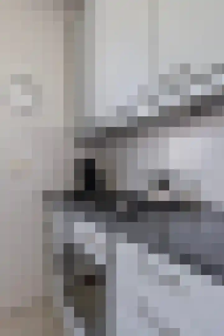 Spinnerstraat 22 Best thumbnail 17