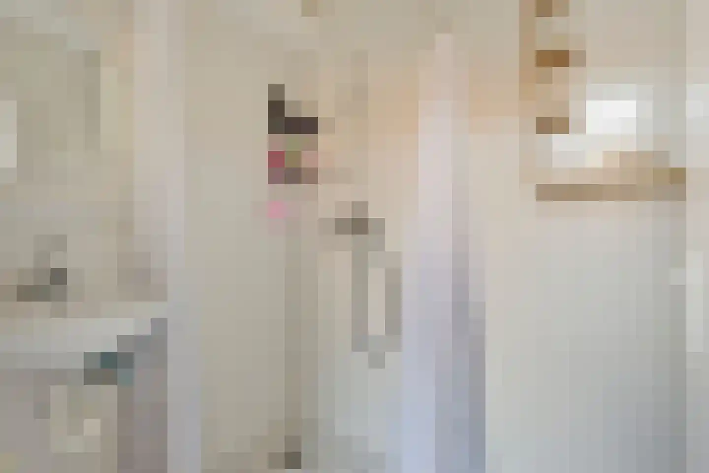 Spinnerstraat 26 Geldrop thumbnail 13