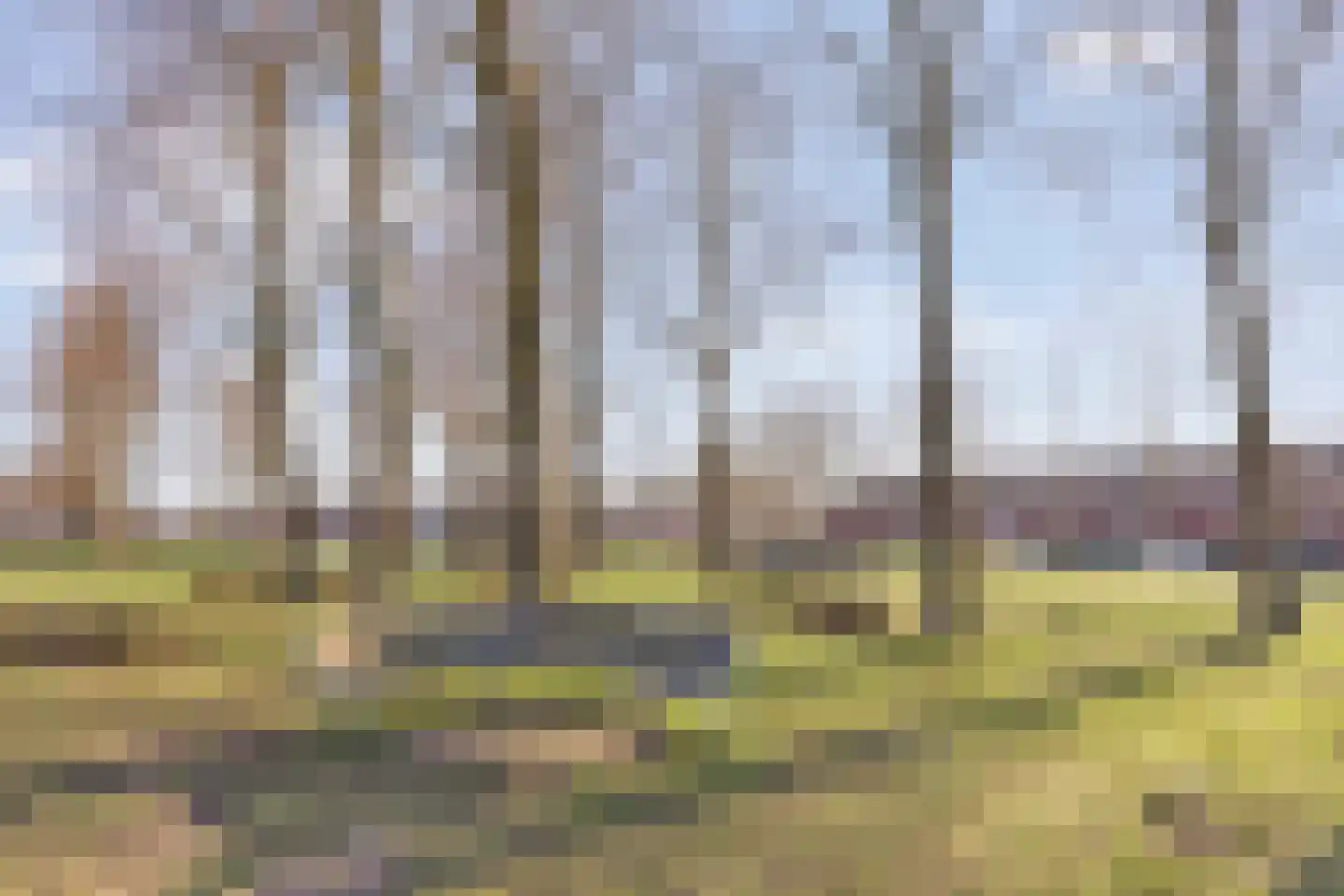Spinnerstraat 26 Geldrop thumbnail 29