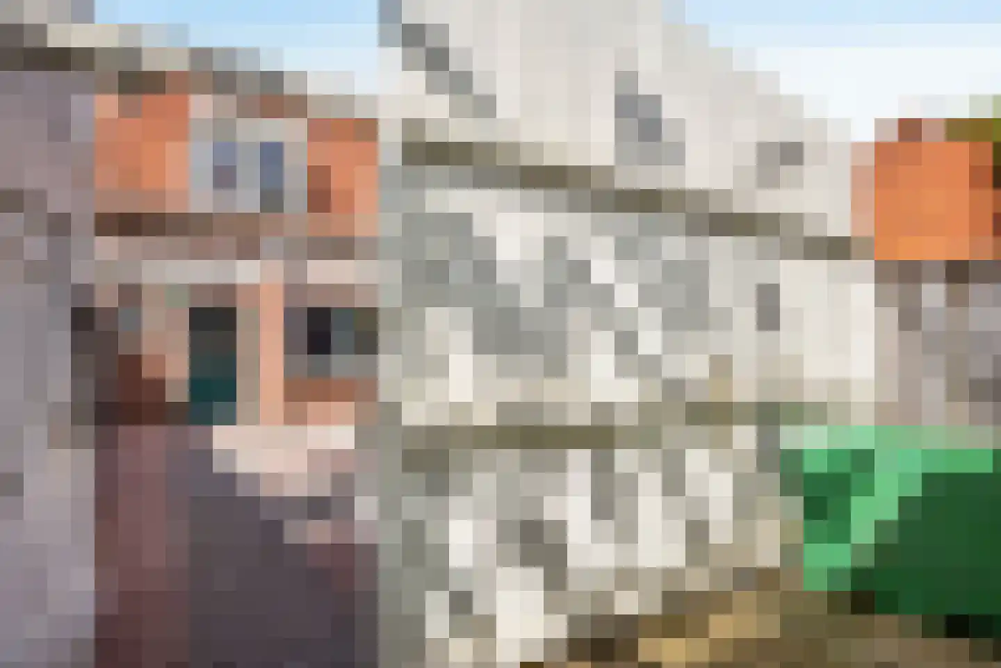 Spinnerstraat 38 Enschede thumbnail 22