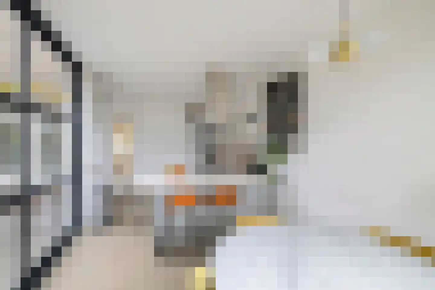 Spinnerstraat 46 Eindhoven thumbnail 17