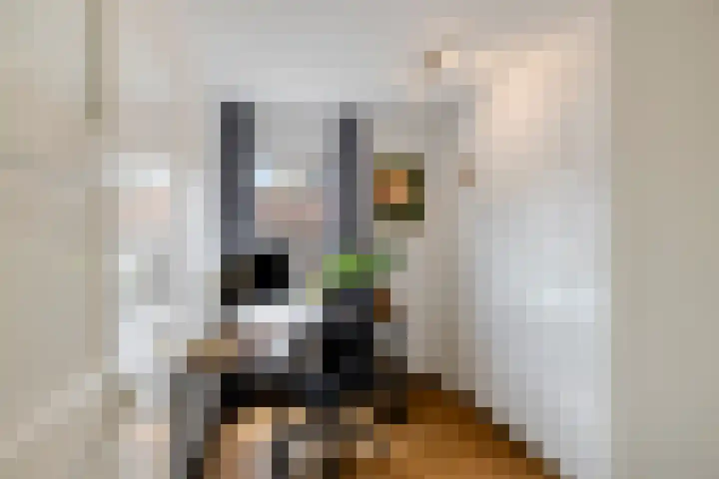 Spinnerstraat 46 Eindhoven thumbnail 23