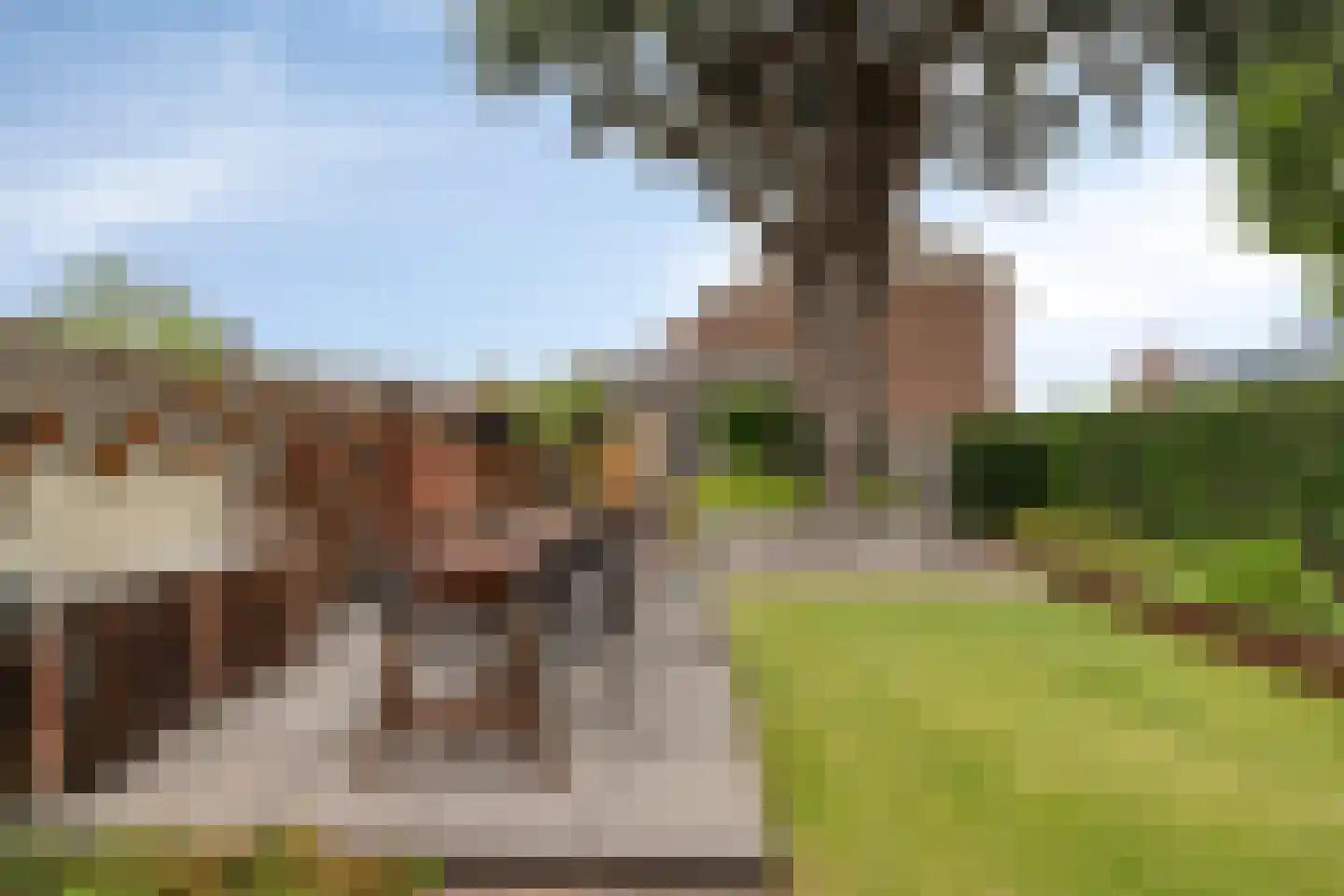 Spinnerstraat 46 Eindhoven thumbnail 30