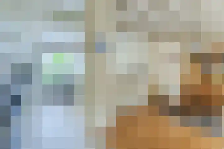Spinnerstraat 5 Geldrop thumbnail 16