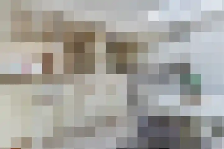 Spinnerstraat 5 Geldrop thumbnail 18