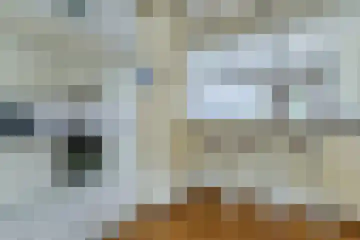 Spinnerstraat 5 Geldrop thumbnail 20