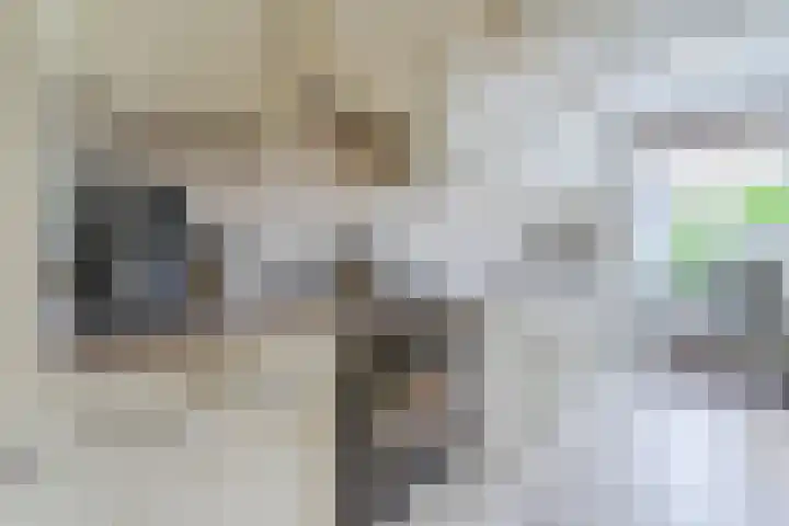 Spinnerstraat 5 Geldrop thumbnail 4
