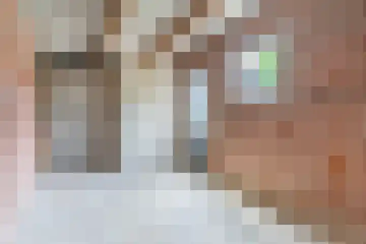 Spinnerstraat 5 Geldrop thumbnail 41