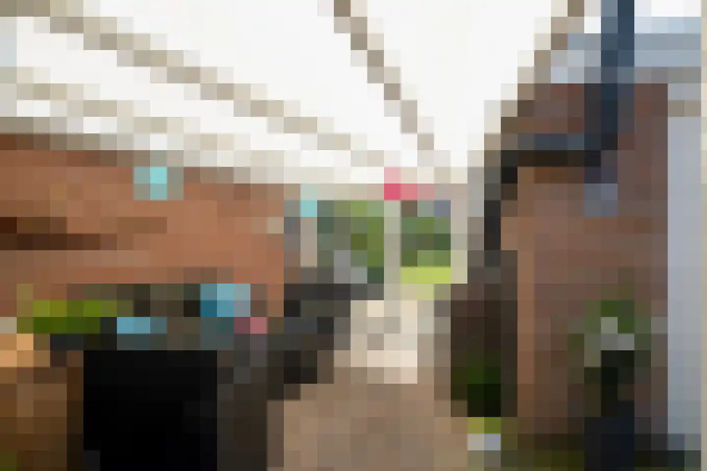 Spinnersweg 20 Overdinkel thumbnail 29