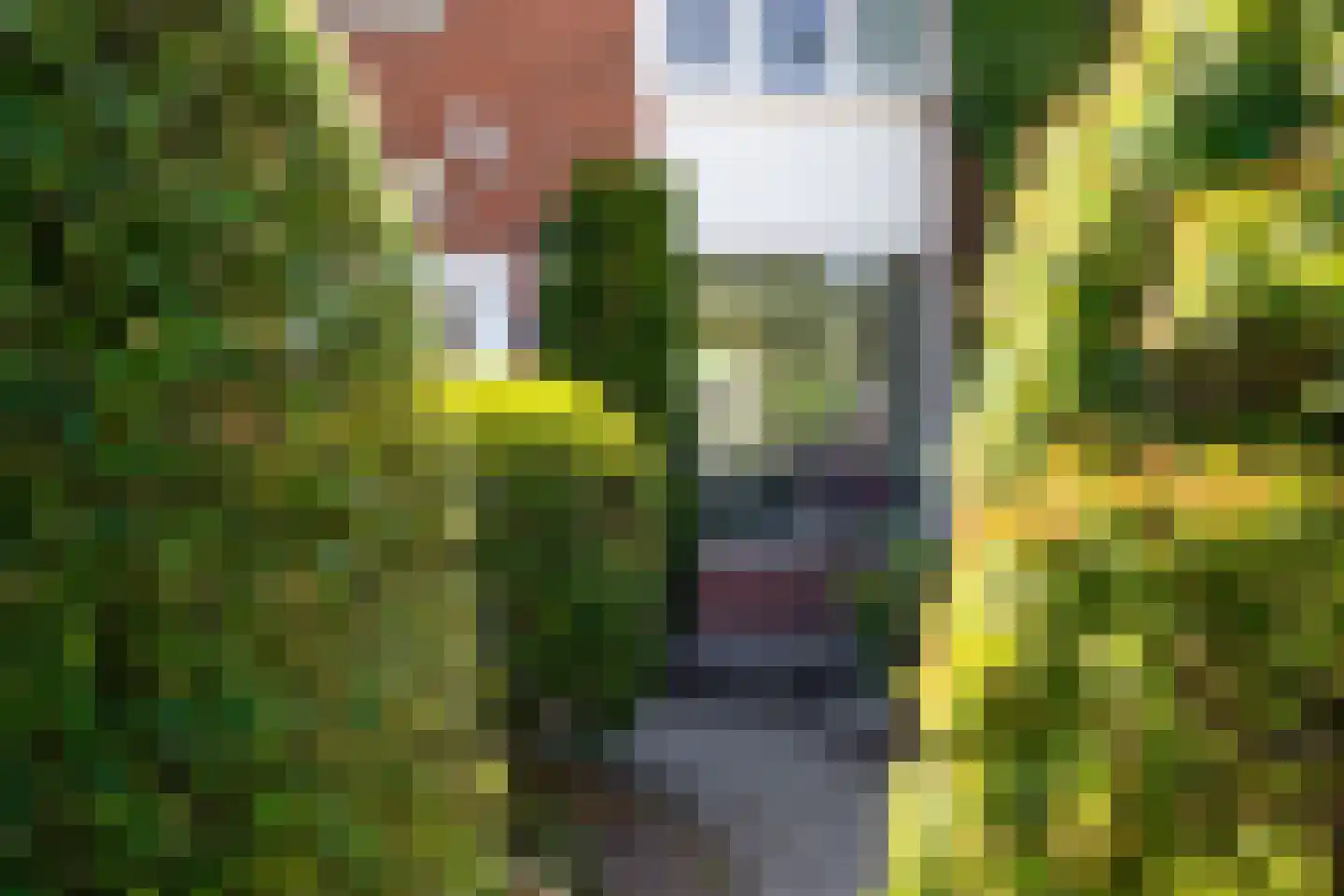 Spinnersweg 20 Overdinkel thumbnail 5