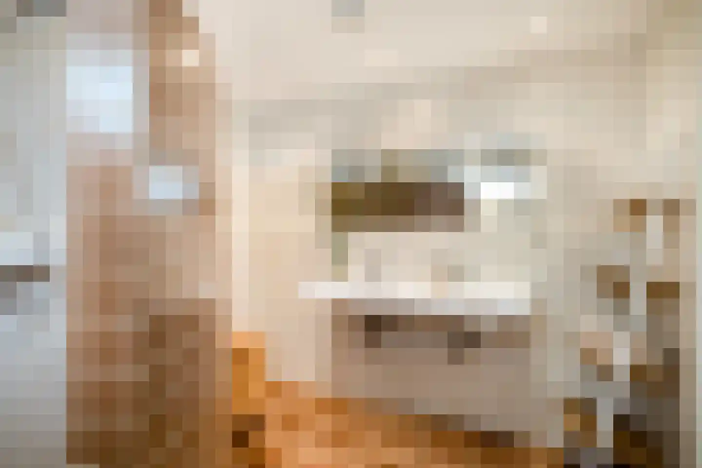 Spinnersweg 22 Overdinkel thumbnail 16