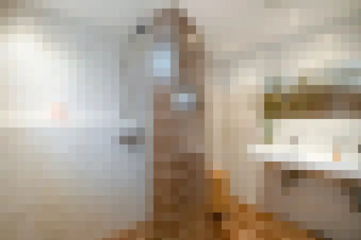 Spinnersweg 22 Overdinkel thumbnail 17