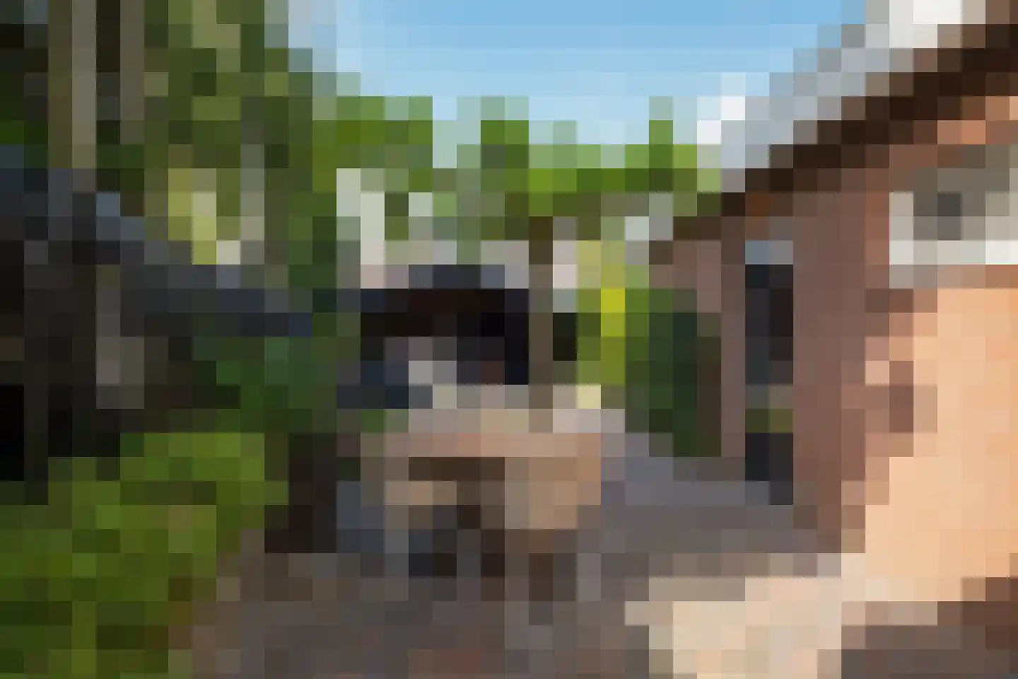 Spinnersweg 22 Overdinkel thumbnail 30