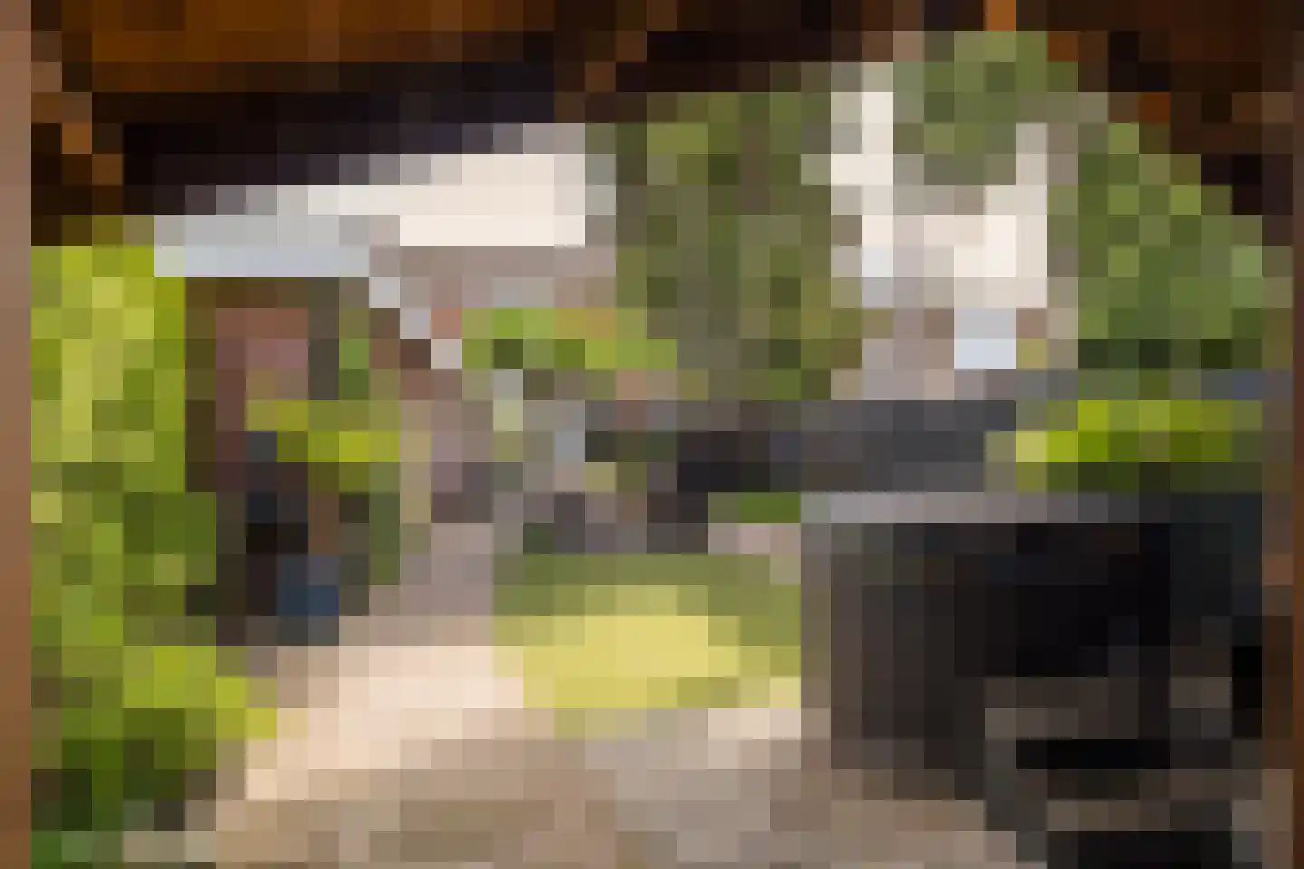 Spinnersweg 22 Overdinkel thumbnail 36