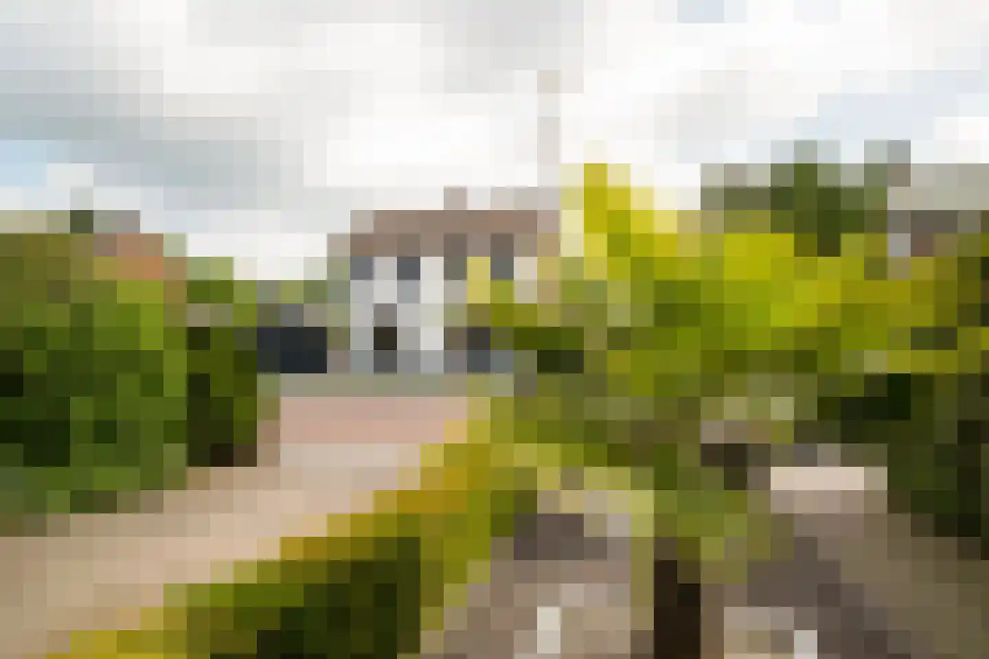 Spinnersweg 22 Overdinkel thumbnail 39