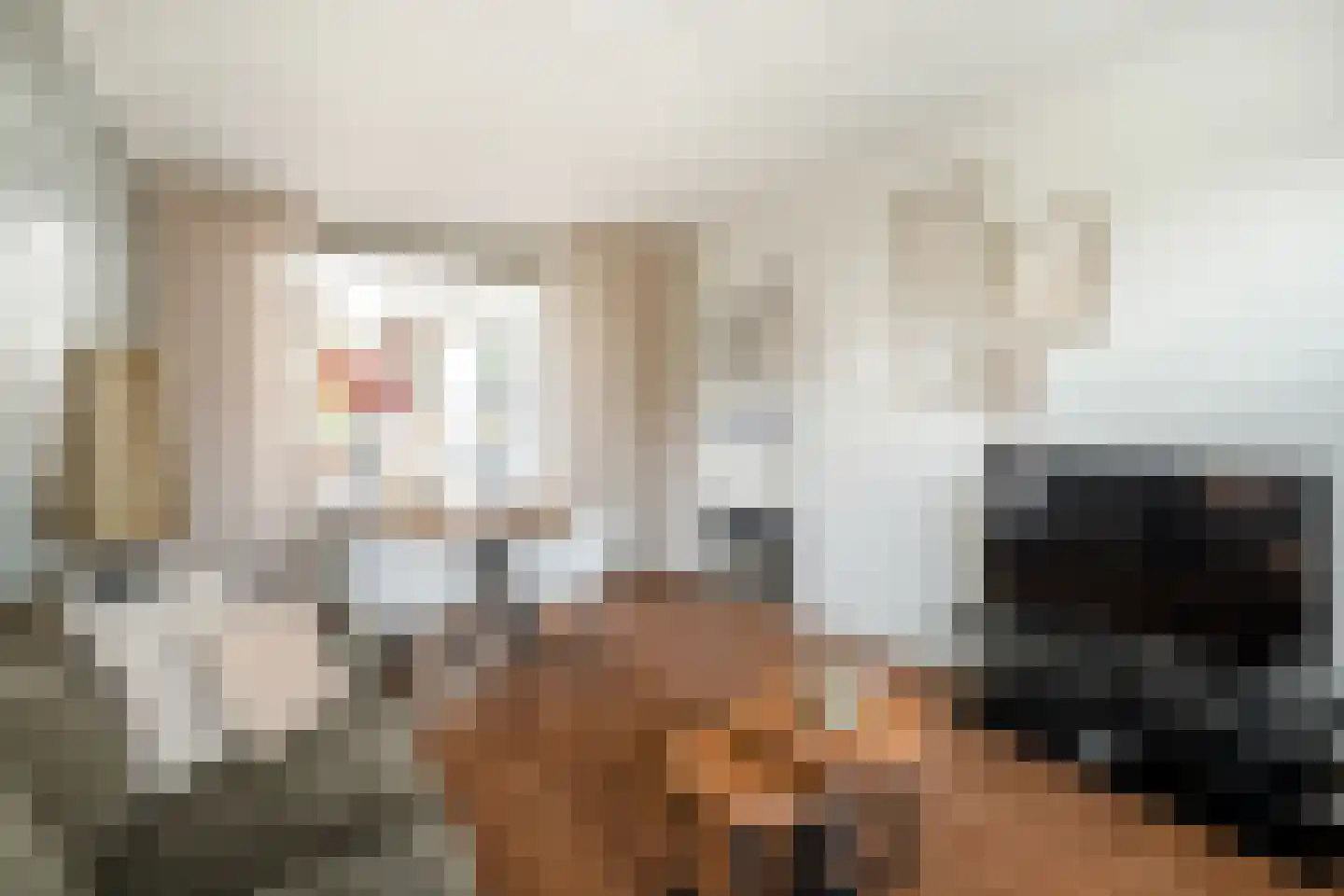 Spinnersweg 22 Overdinkel thumbnail 8
