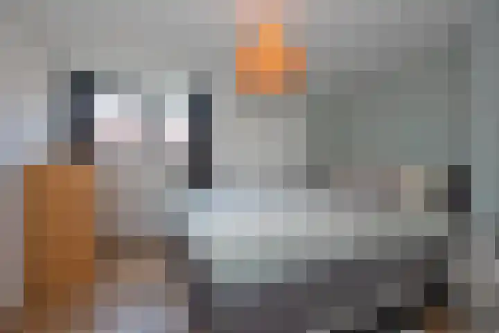 Spinnersweg 29 Hengelo thumbnail 21