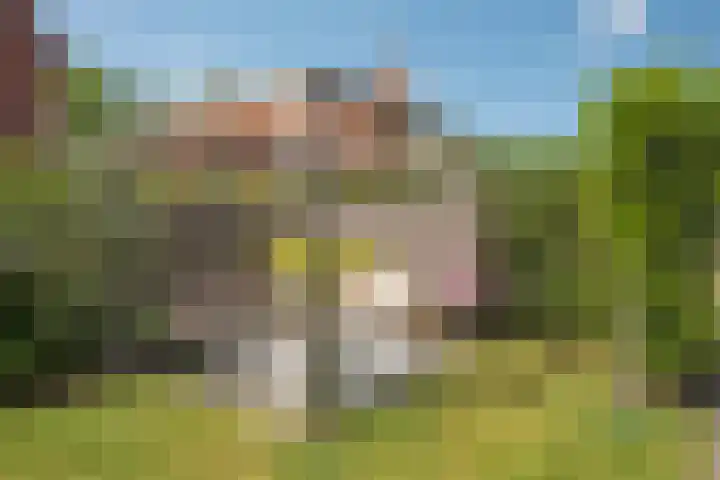Spinnersweg 29 Hengelo thumbnail 32