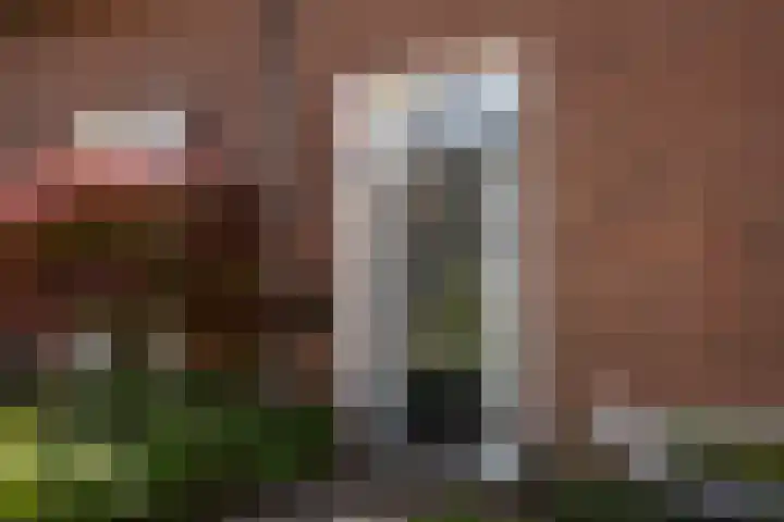 Spinnersweg 29 Hengelo thumbnail 7