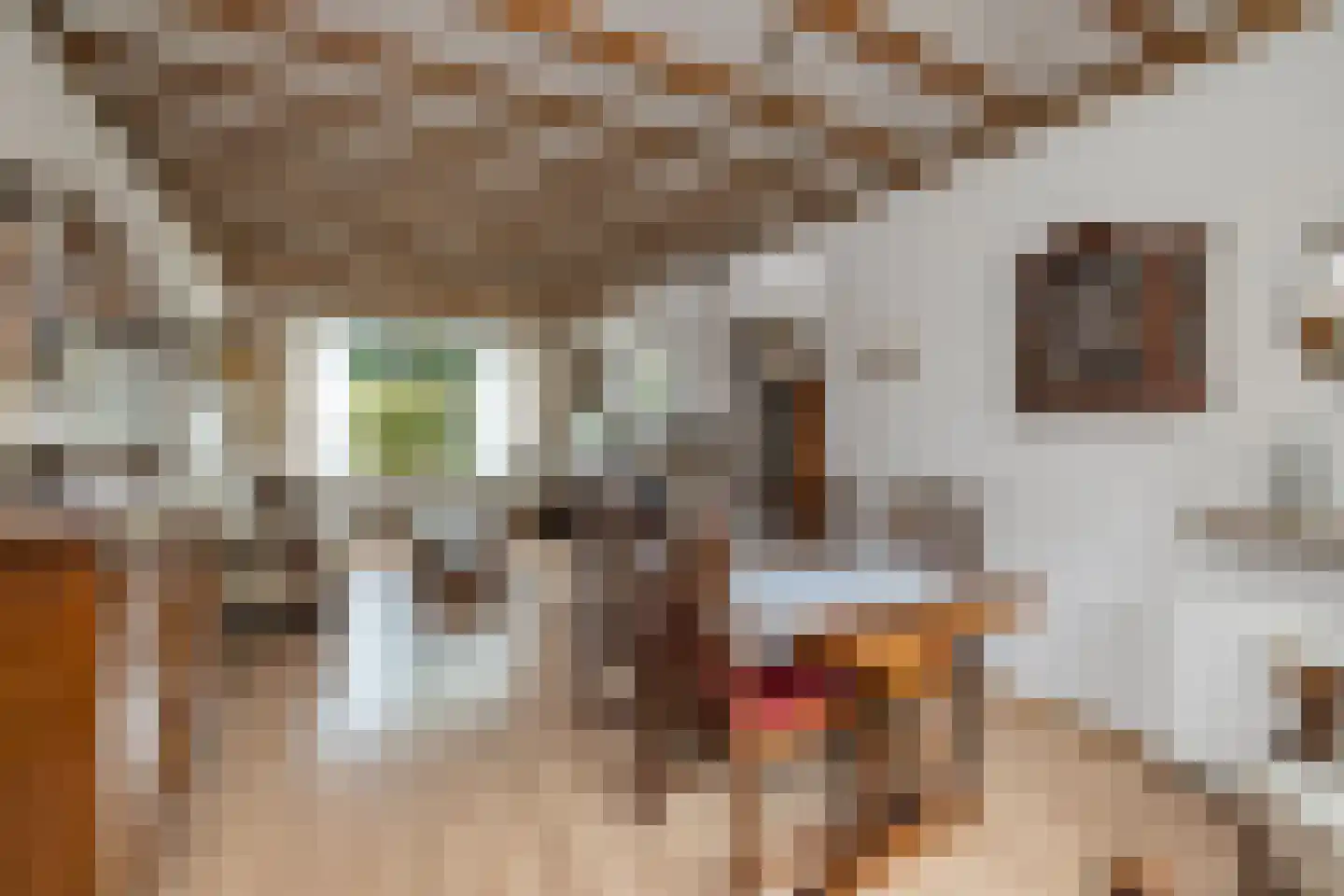Spinnersweg 32 Overdinkel thumbnail 15