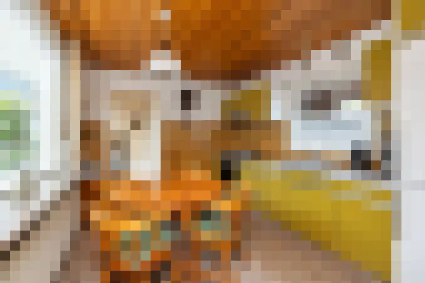 Spinnersweg 32 Overdinkel thumbnail 21