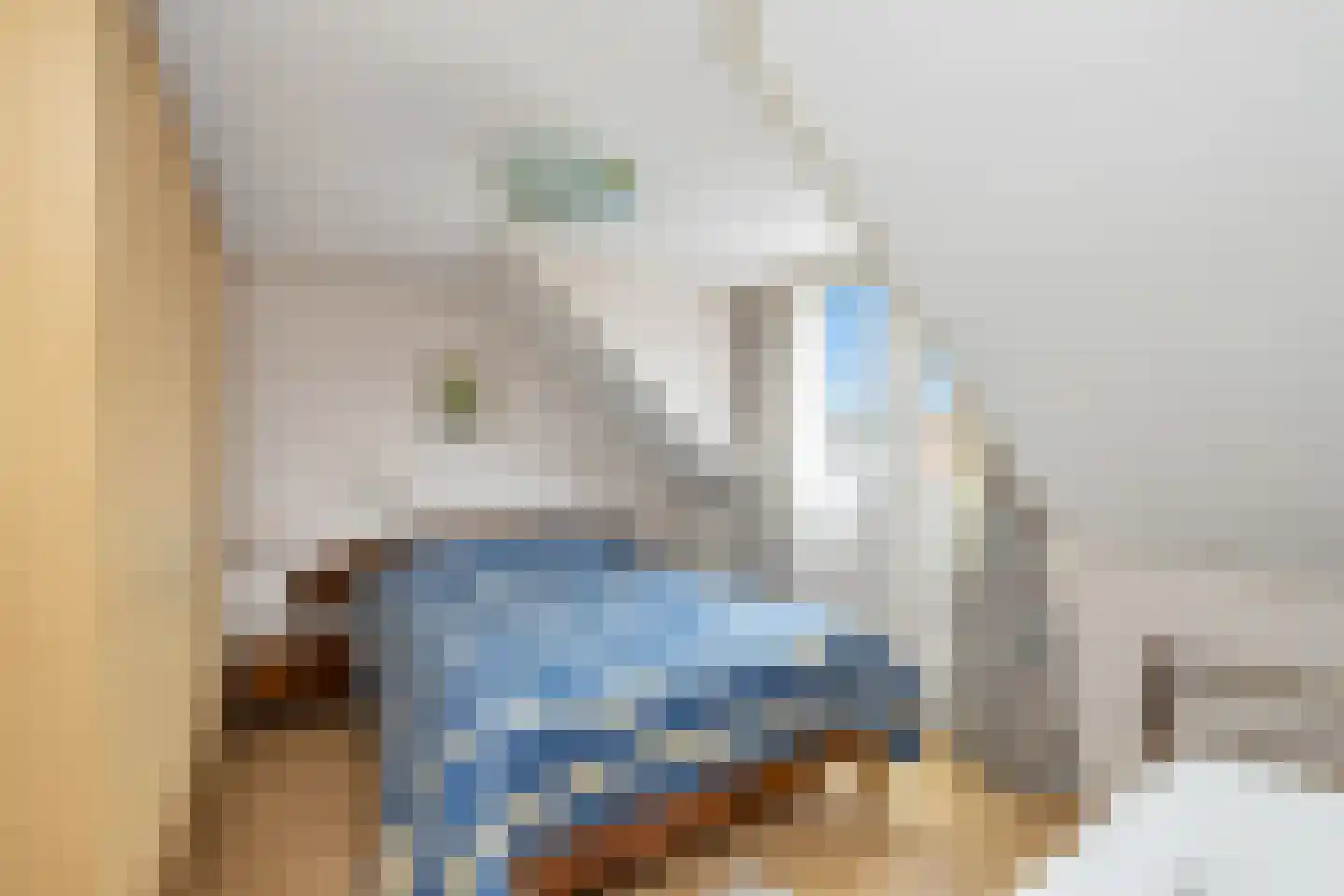 Spinnersweg 32 Overdinkel thumbnail 28