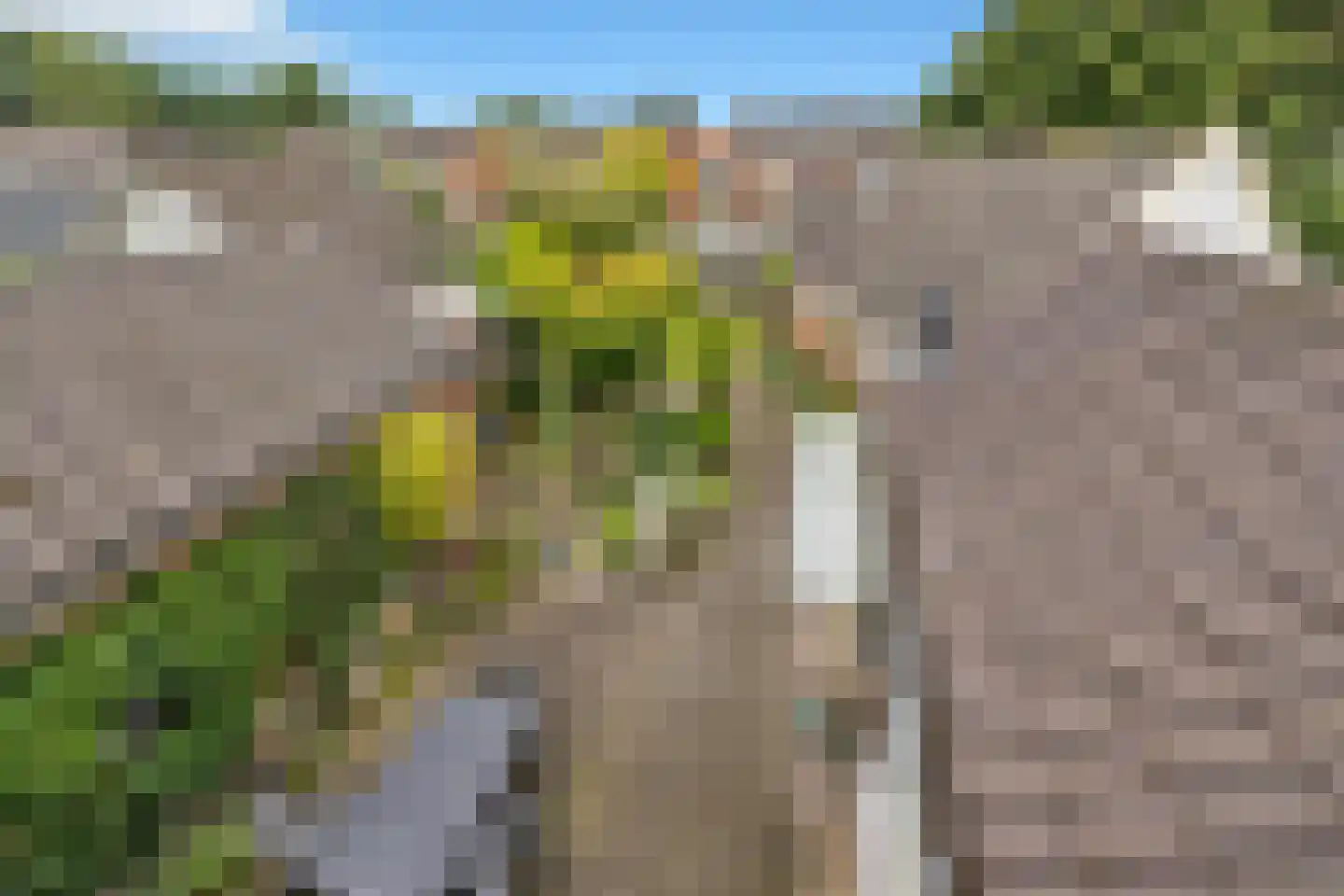 Spinnersweg 32 Overdinkel thumbnail 36