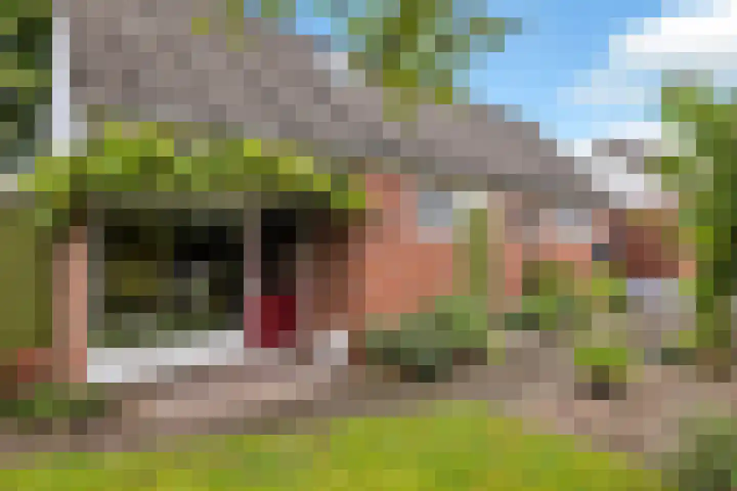 Spinnersweg 32 Overdinkel thumbnail 39
