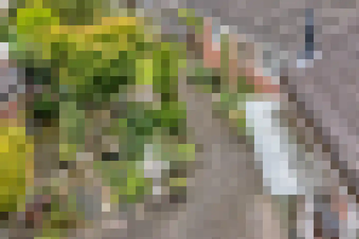 Spinnersweg 32 Overdinkel thumbnail 40