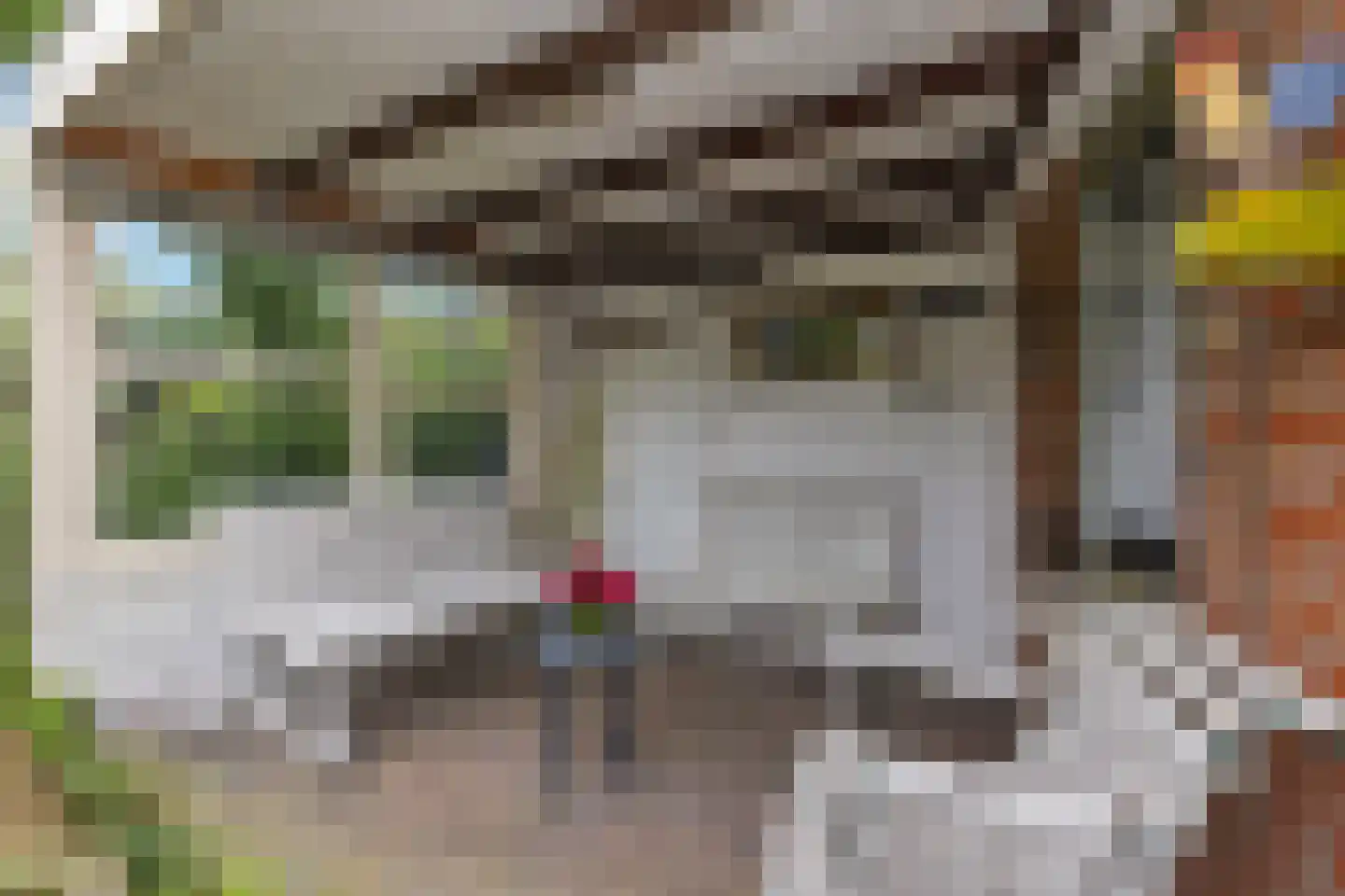 Spinnersweg 32 Overdinkel thumbnail 44