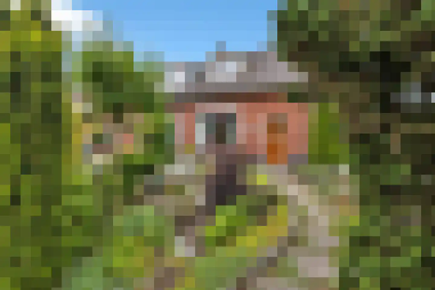 Spinnersweg 32 Overdinkel thumbnail 46