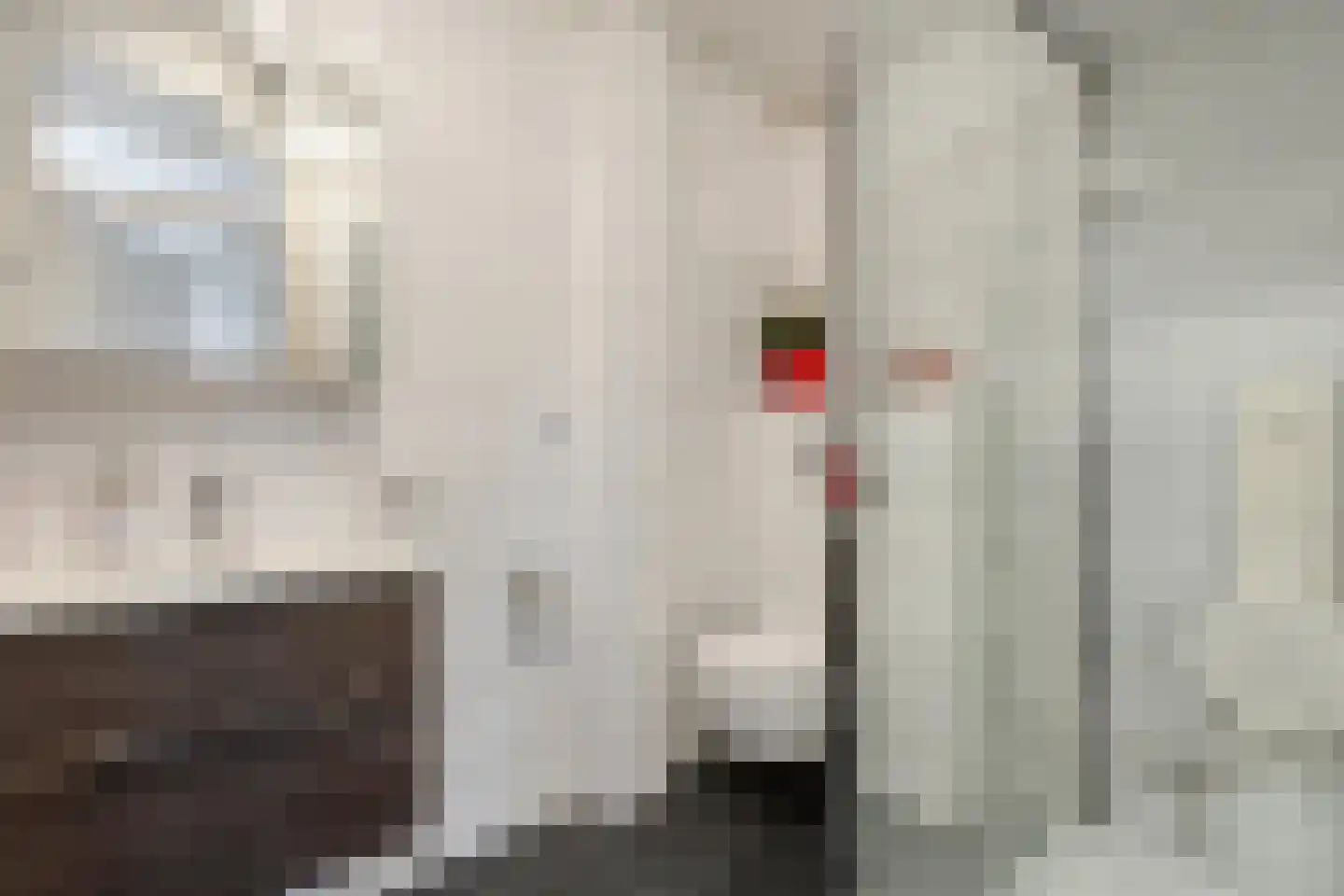 Spinnersweg 58 Overdinkel thumbnail 16