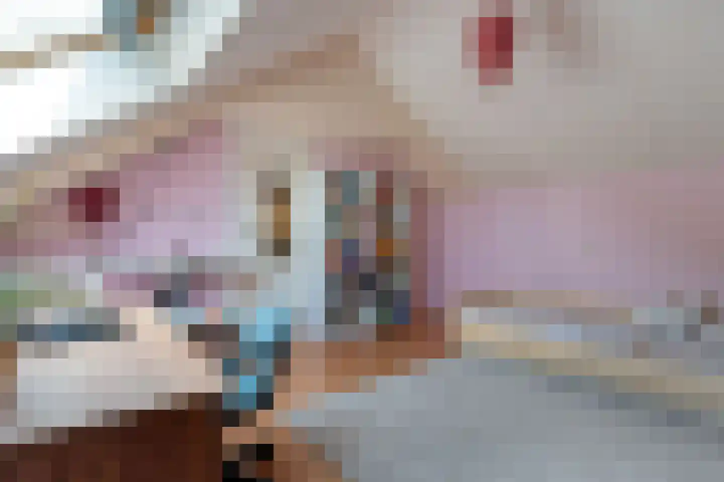 Spinnersweg 58 Overdinkel thumbnail 28