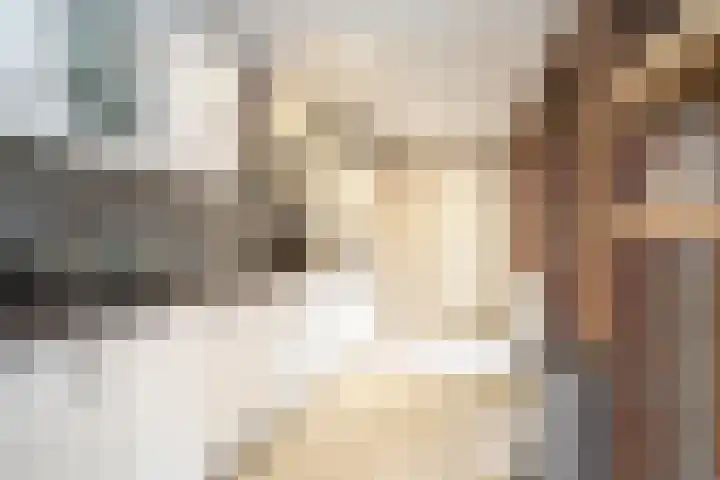 Spinnersweg 6 Overdinkel thumbnail 13