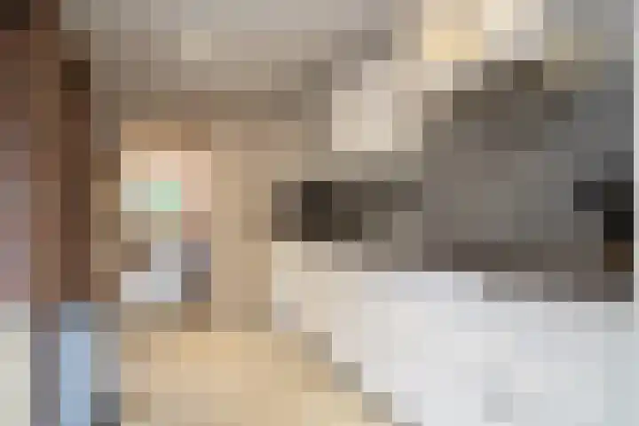 Spinnersweg 6 Overdinkel thumbnail 14