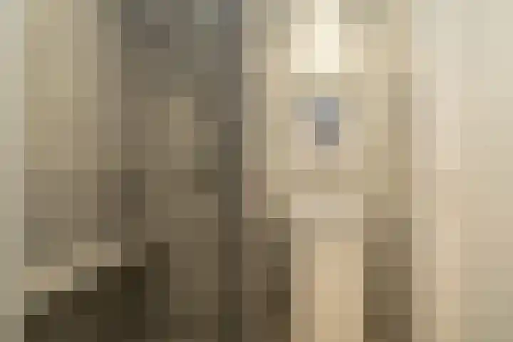 Spinnersweg 6 Overdinkel thumbnail 19