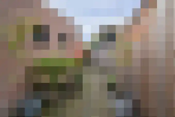 Spinnersweg 6 Overdinkel thumbnail 26