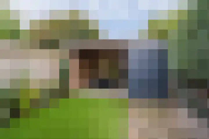 Spinnersweg 6 Overdinkel thumbnail 29