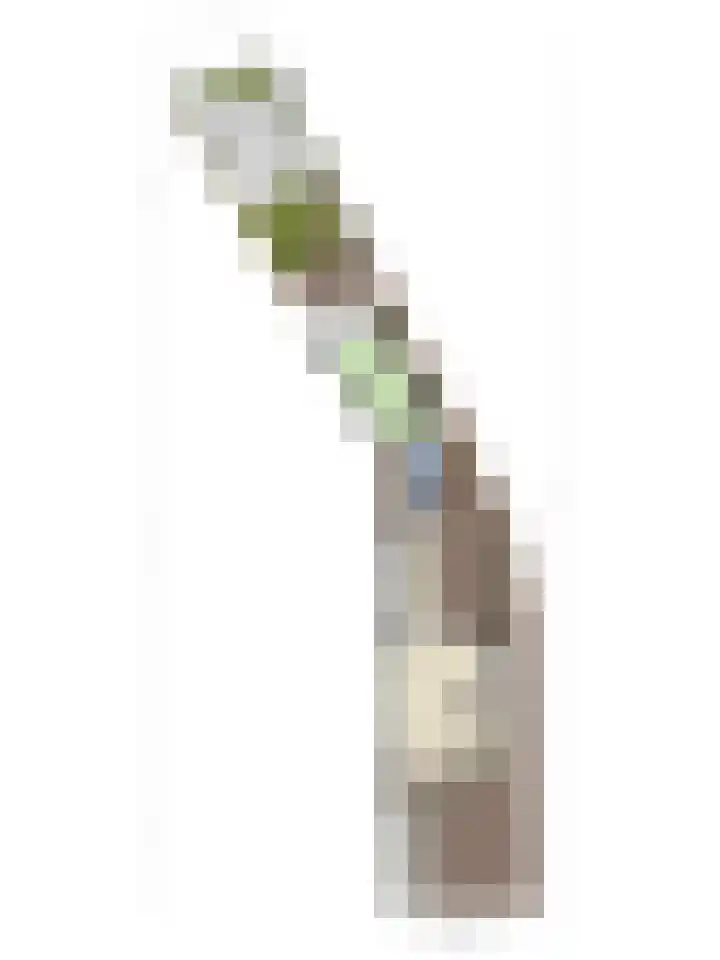 Spinnersweg 6 Overdinkel thumbnail 35