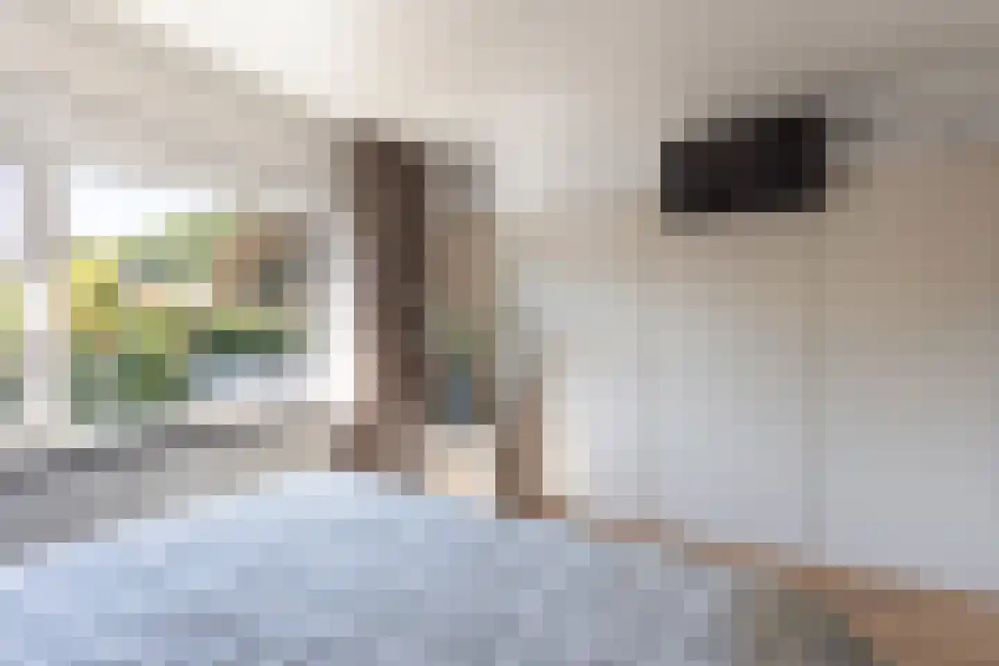 Spinnersweg 66 Overdinkel thumbnail 18