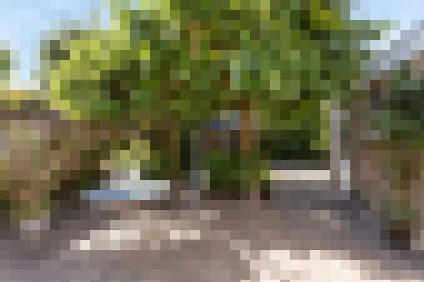 Spinnersweg 66 Overdinkel thumbnail 25